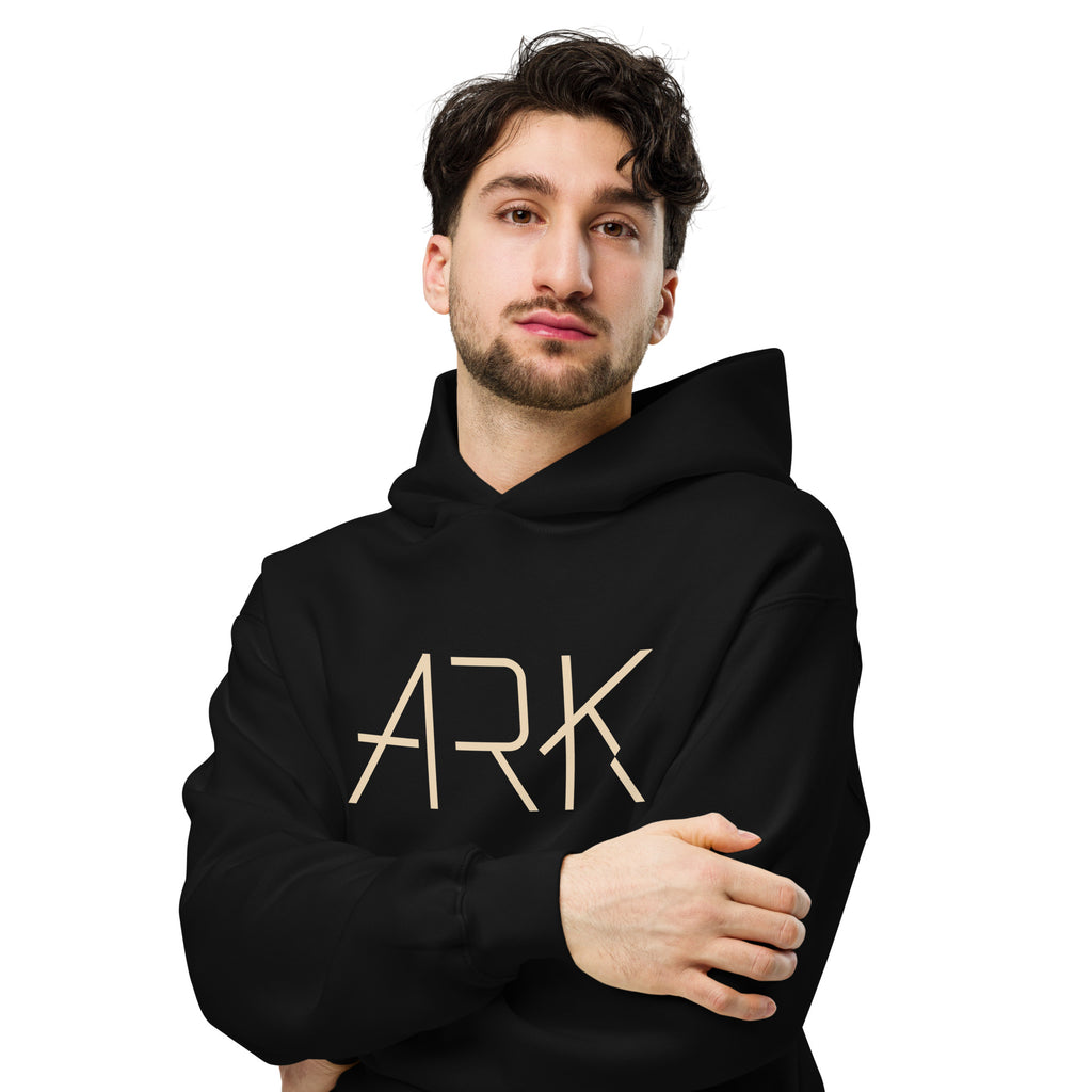 Men's Oversized Pullover Hoodie - ARK Noah's Ark Graphic - Various Colors Christian Faith Sweatshirt