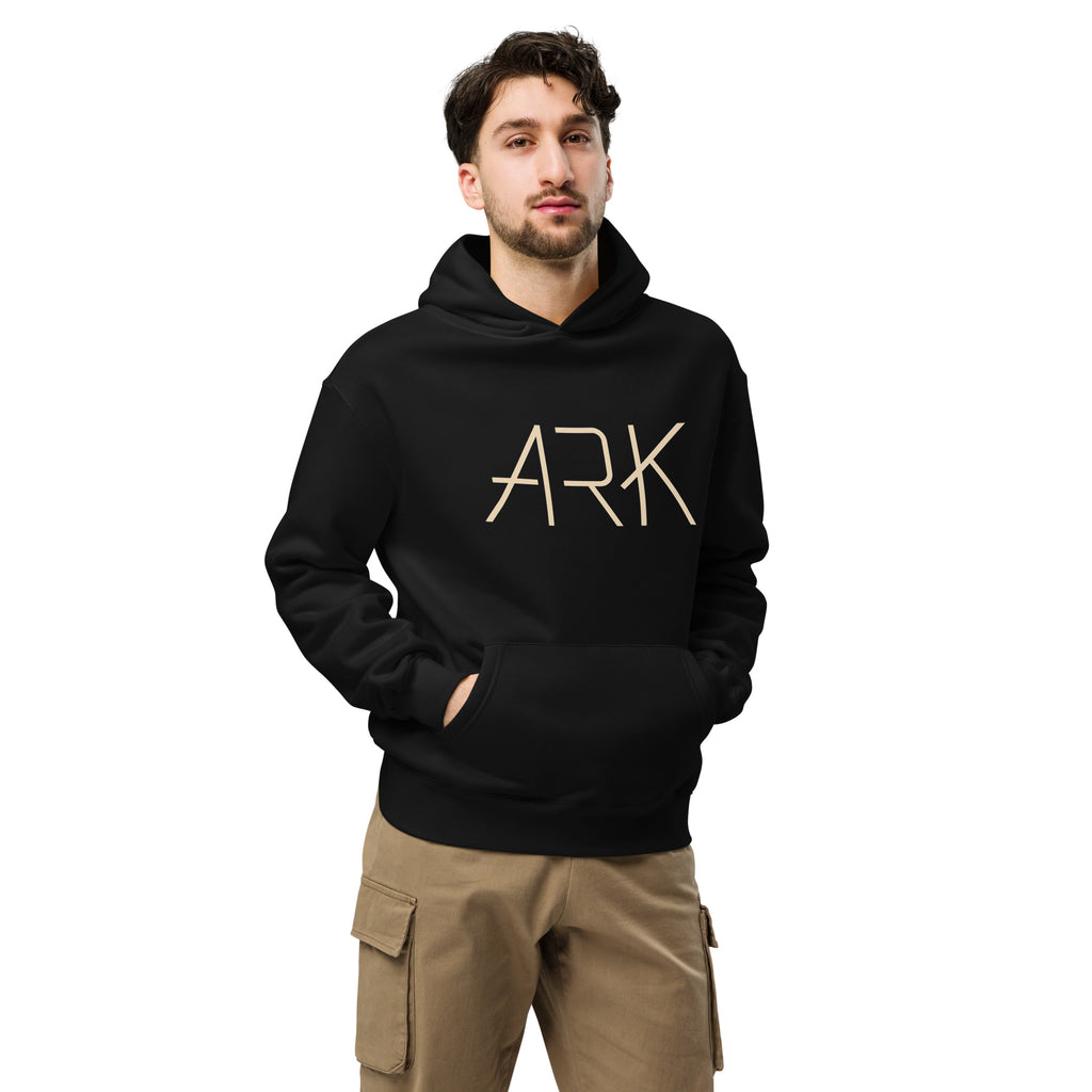 Men's Oversized Pullover Hoodie - ARK Noah's Ark Graphic - Various Colors Christian Faith Sweatshirt