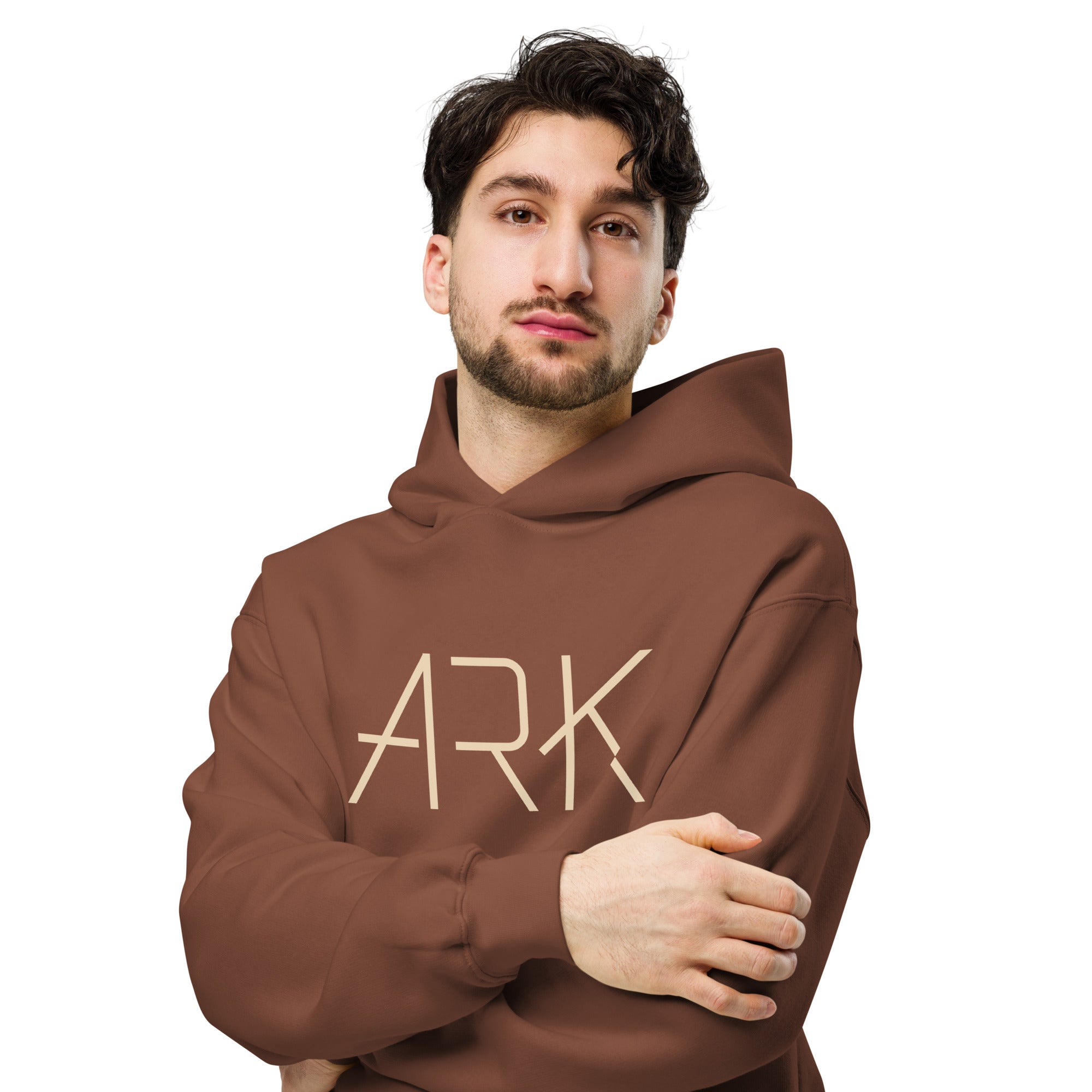 Men's Oversized Pullover Hoodie - ARK Noah's Ark Graphic - Various Colors Christian Faith Sweatshirt