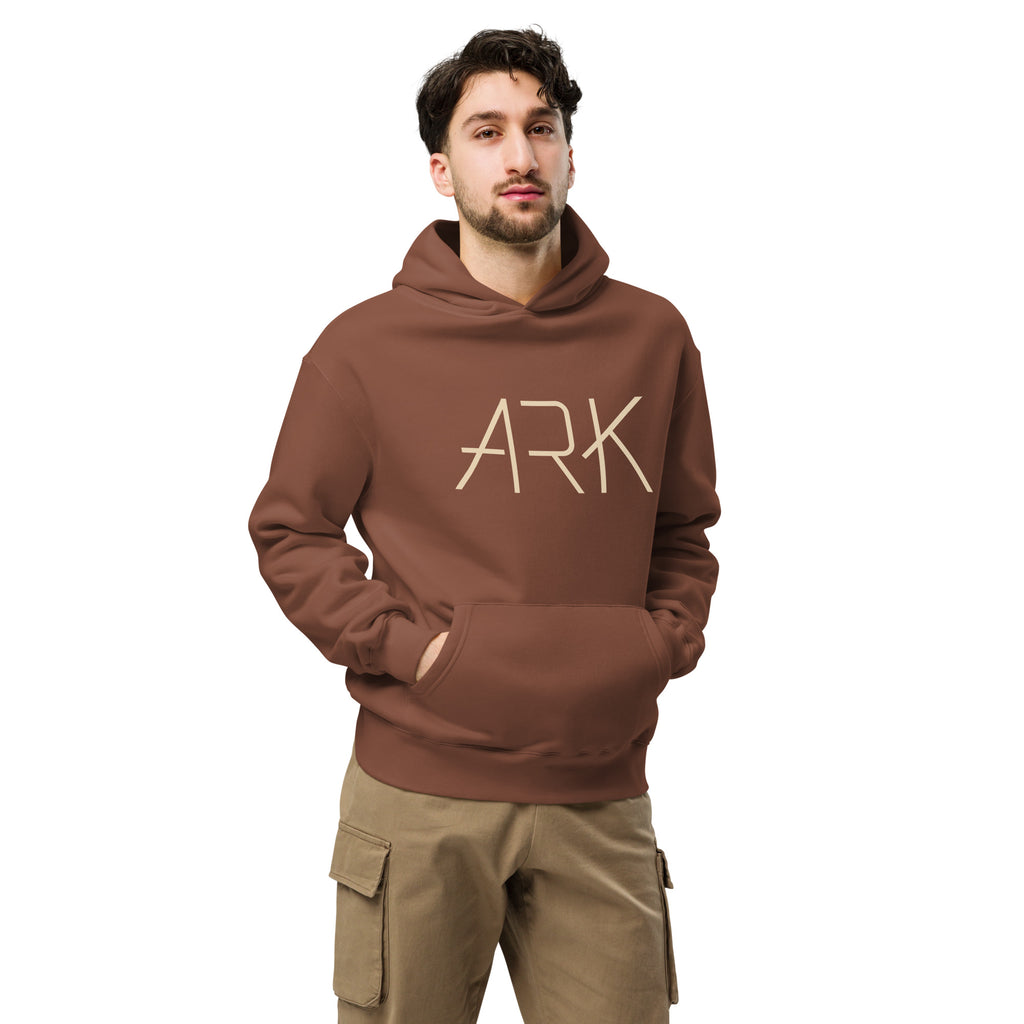 Men's Oversized Pullover Hoodie - ARK Noah's Ark Graphic - Various Colors Christian Faith Sweatshirt