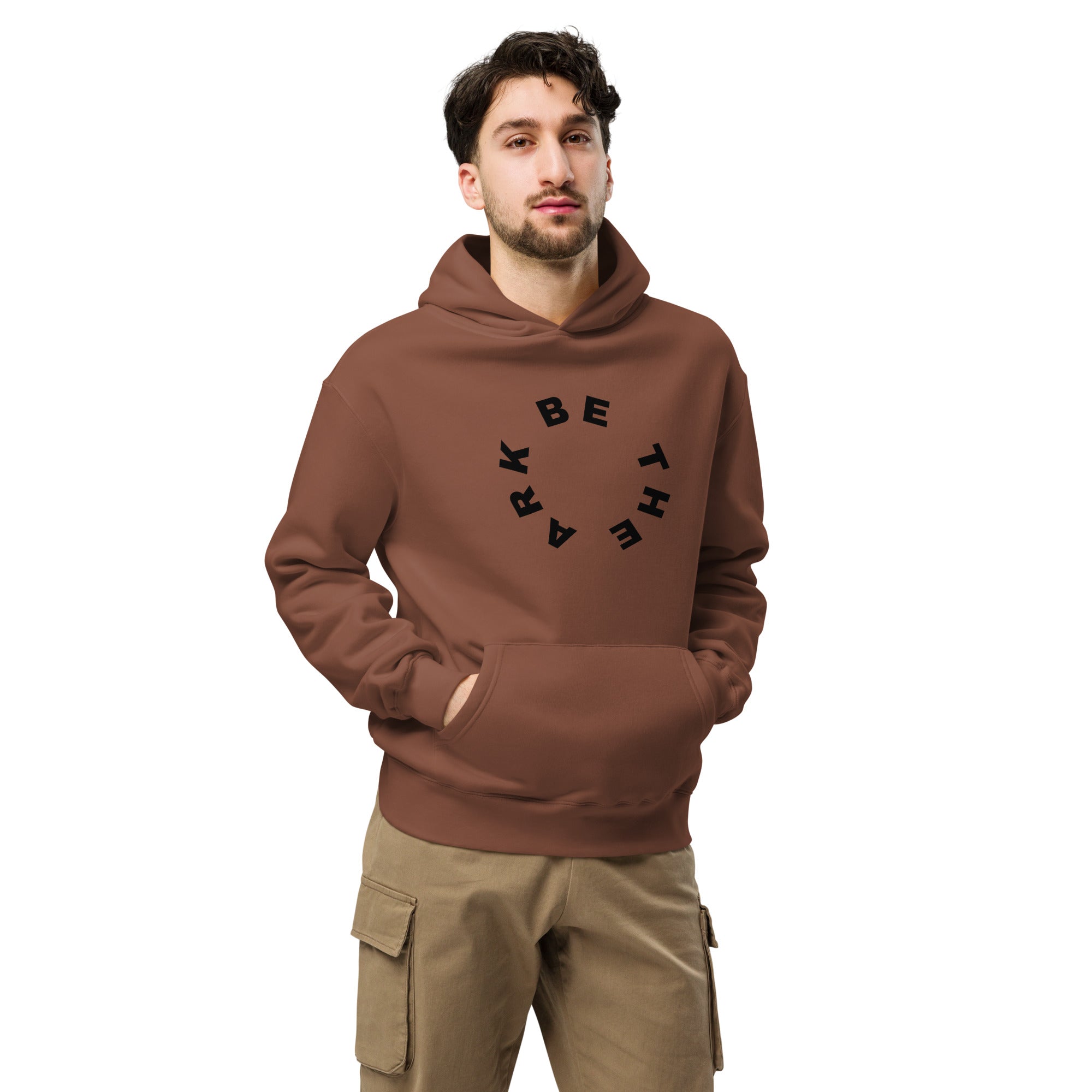Men's Oversized Pullover Hoodie - BE The Ark Noah's Ark Print - Various Colors Christian Faith Sweatshirt