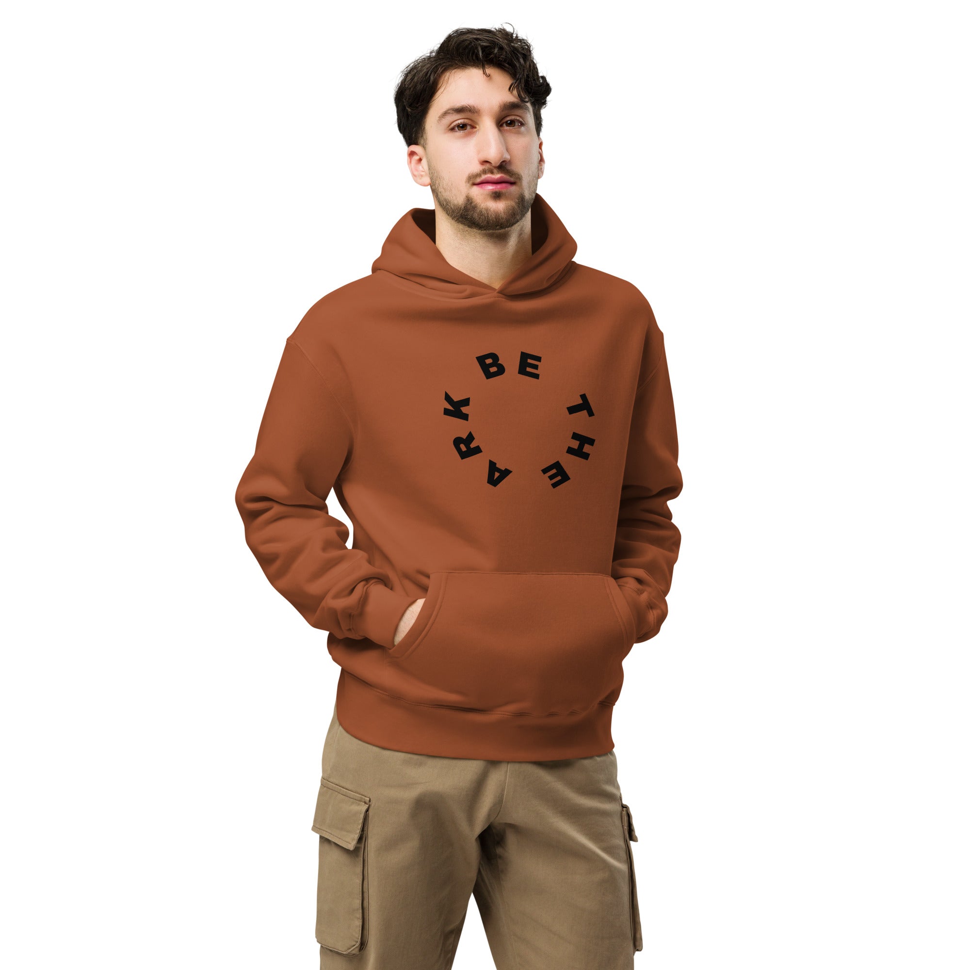 Men's Oversized Pullover Hoodie - BE The Ark Noah's Ark Print - Various Colors Christian Faith Sweatshirt