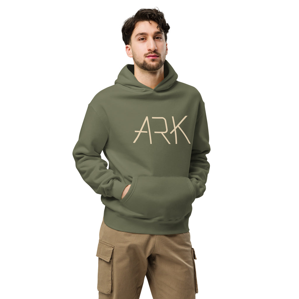 Men's Oversized Pullover Hoodie - ARK Noah's Ark Graphic - Various Colors Christian Faith Sweatshirt