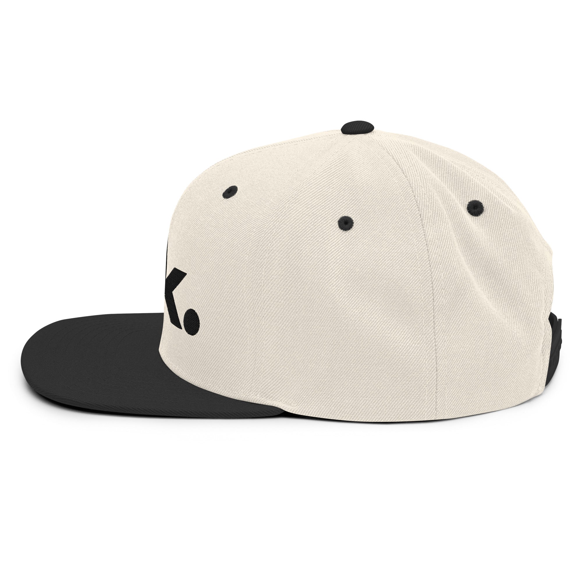 Ark Brand Logo 3D Snapback | Natural/Black Two-Tone Hat