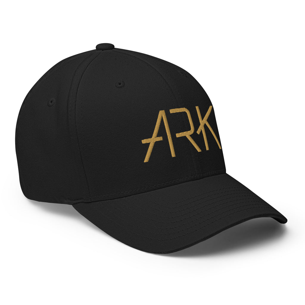 ARK Logo 3D Flexfit® Hat | Structured Christian Faith Cap