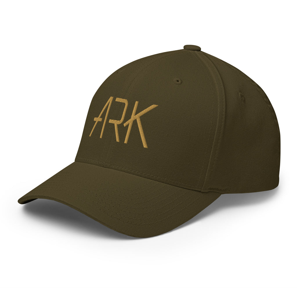 ARK Logo 3D Flexfit® Hat | Structured Christian Faith Cap