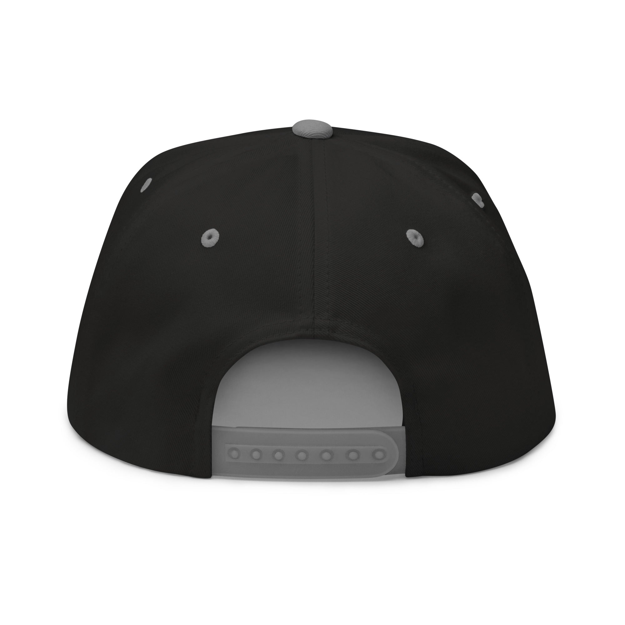 TN Embroidered Snapback Cap