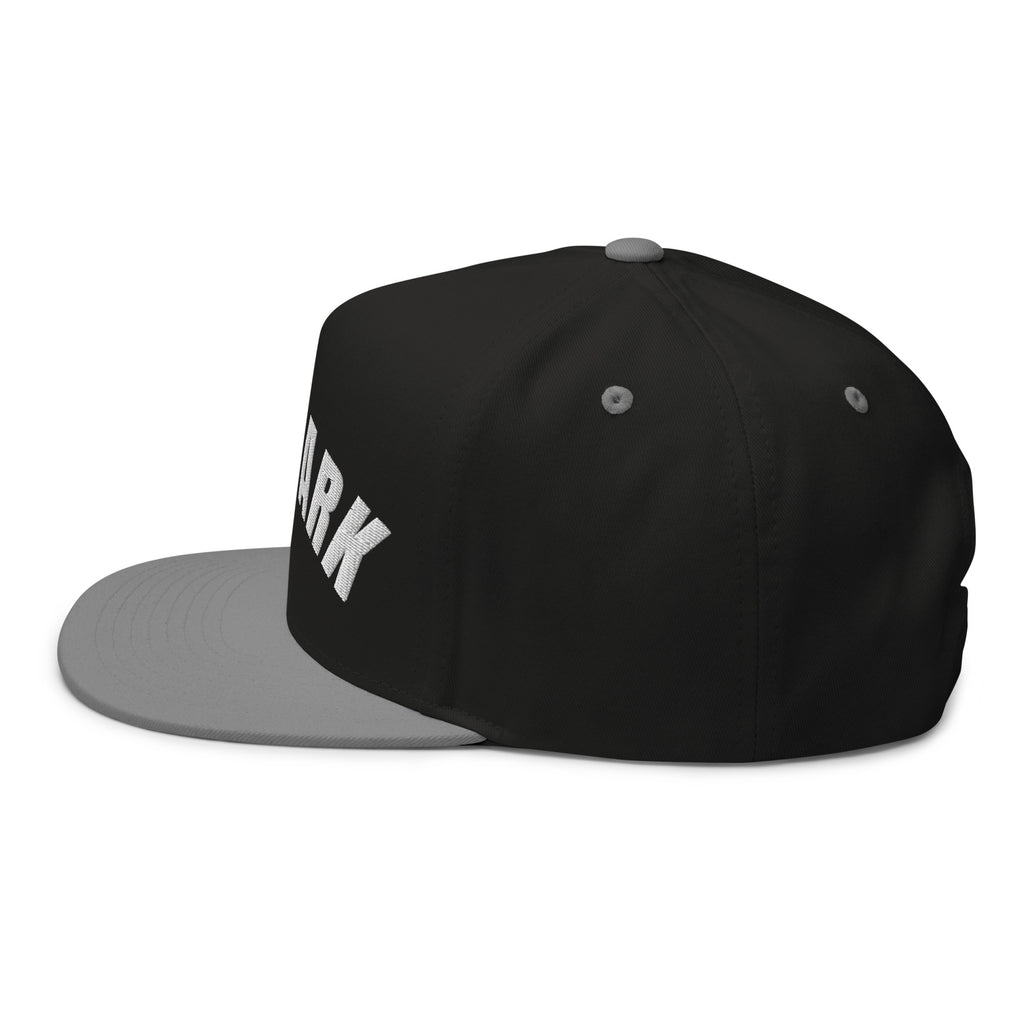 Be The Ark 3D Snapback | Black/Grey 5-Panel with Side Logo