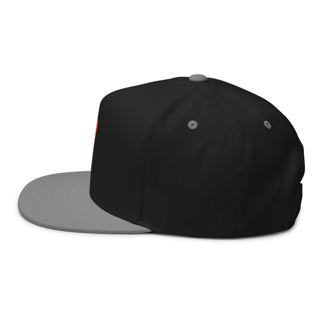 TN Embroidered Snapback Cap