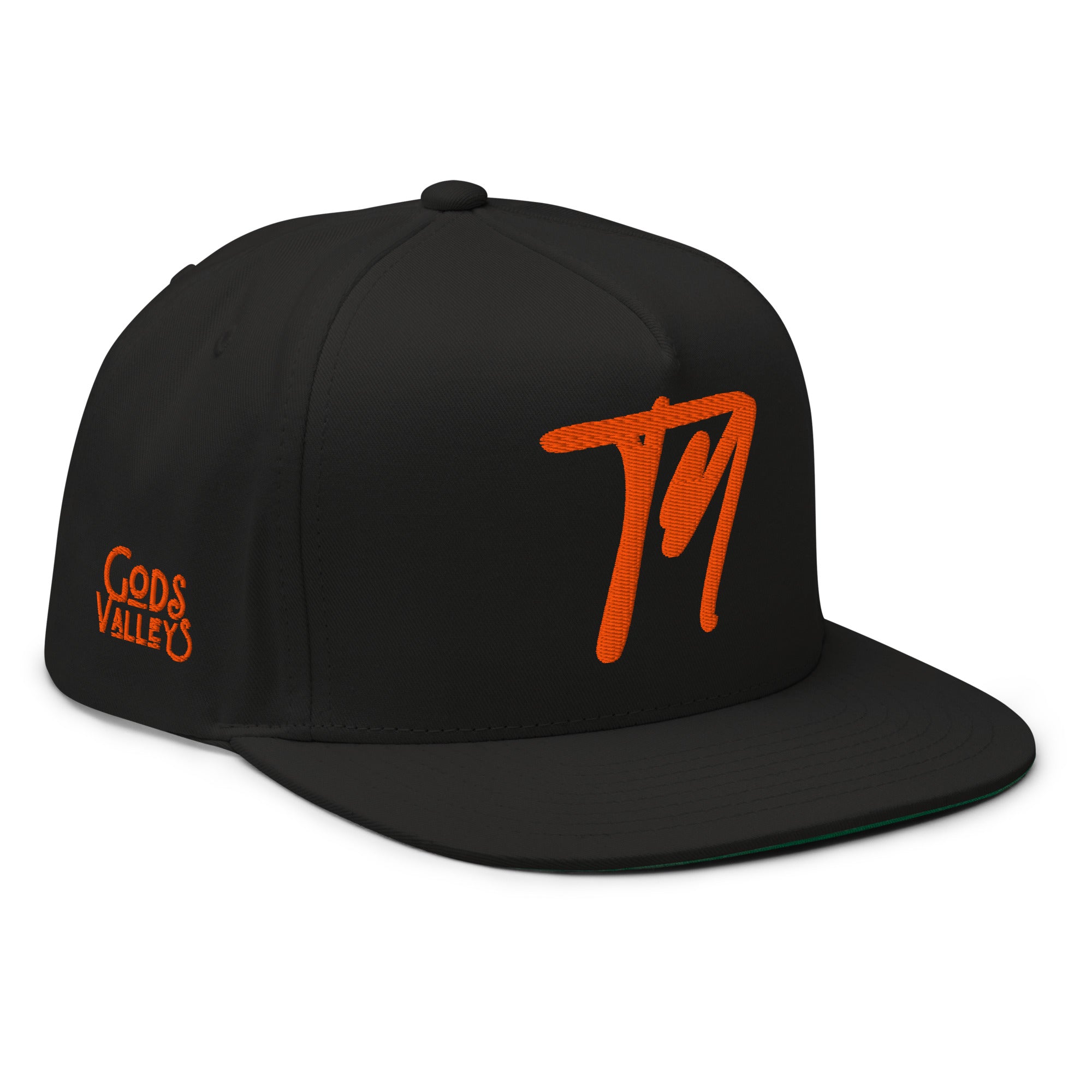 TN Embroidered Snapback Cap