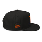 TN Embroidered Snapback Cap