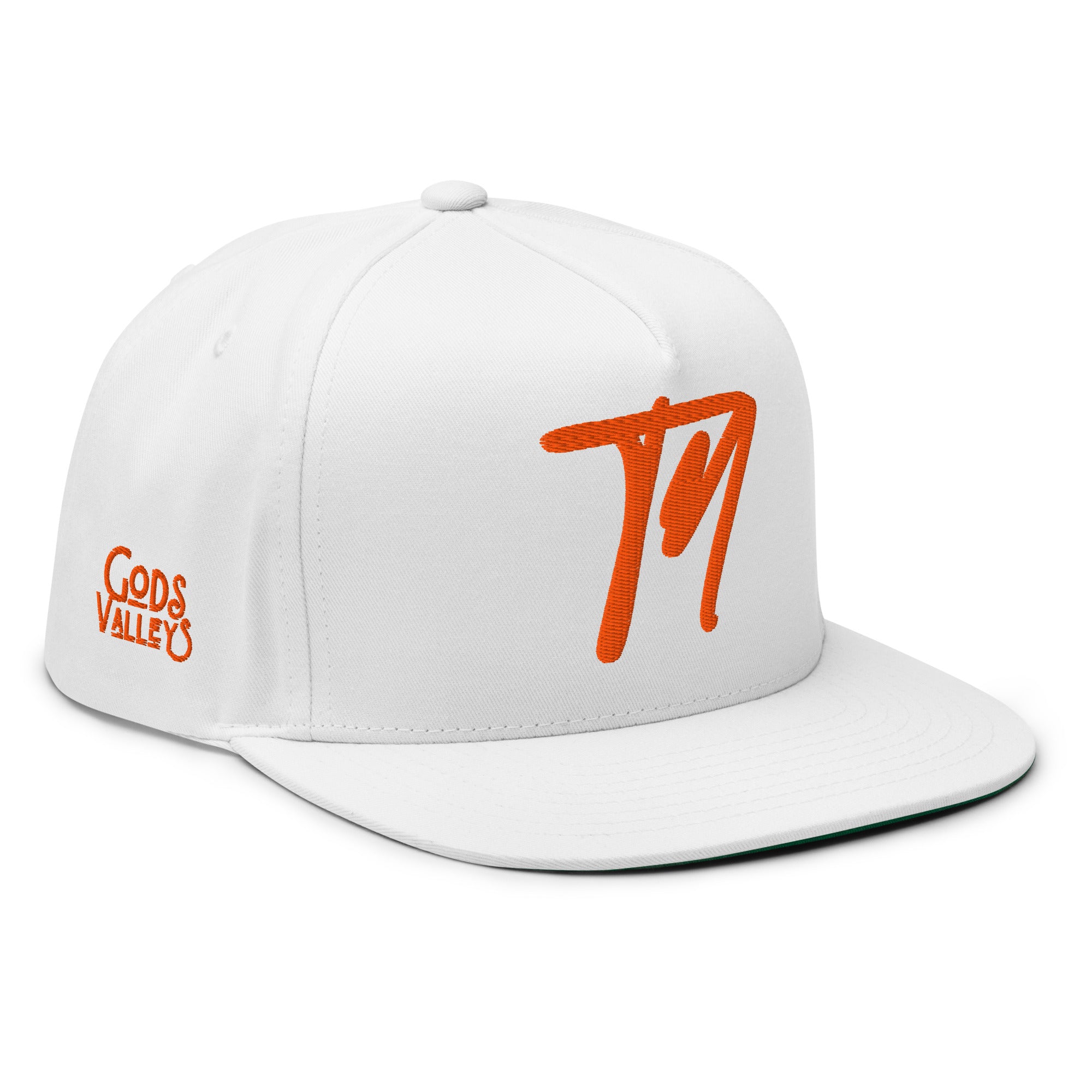 TN Embroidered Snapback Cap