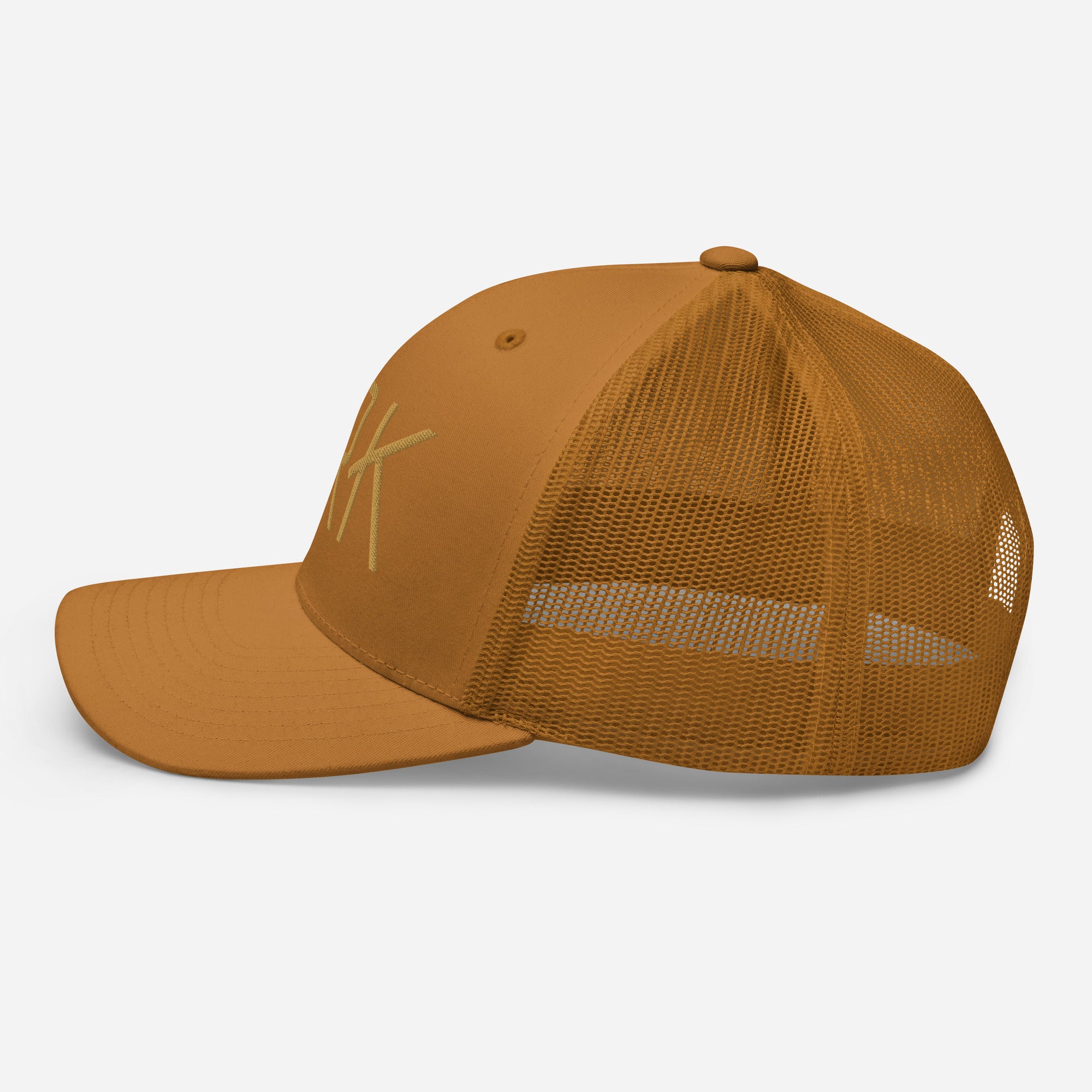 Ark Logo 3D Trucker Cap | Classic Mesh Back Snapback