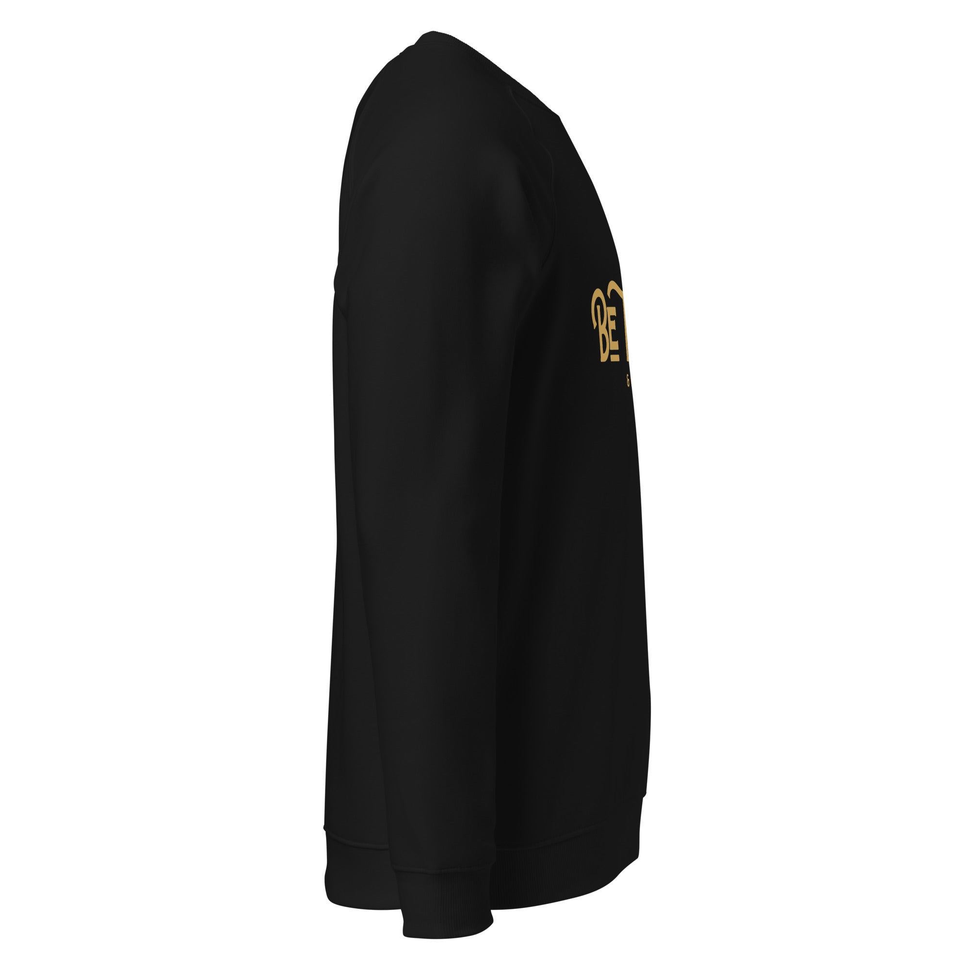 Men's Unisex Organic Raglan Sweatshirt - Be The Ark and Nothing Less Print - Various Colors Christian Faith Crew Neck Sweater