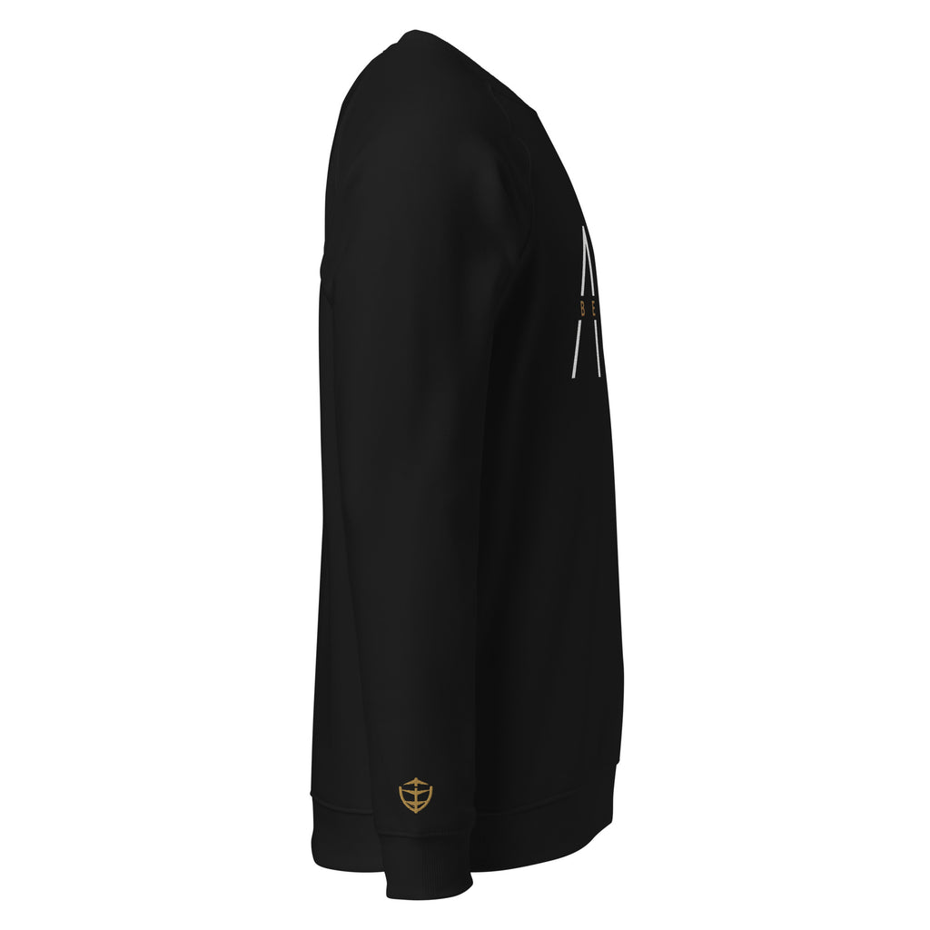 Men's Organic Raglan Sweatshirt - Be The Ark Embroidery - Various Colors Christian Faith Sweater