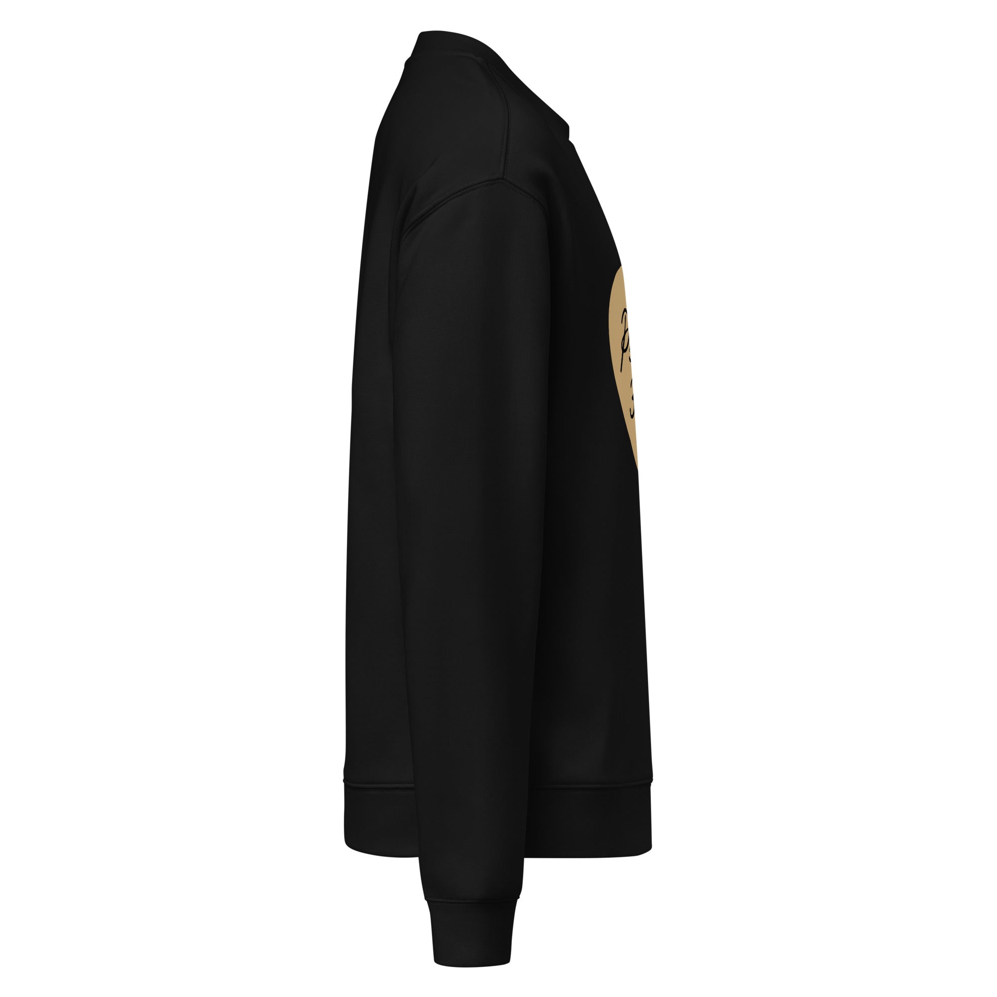 Men Crew Neck Sweatshirt with Front Text Print Long Sleeve