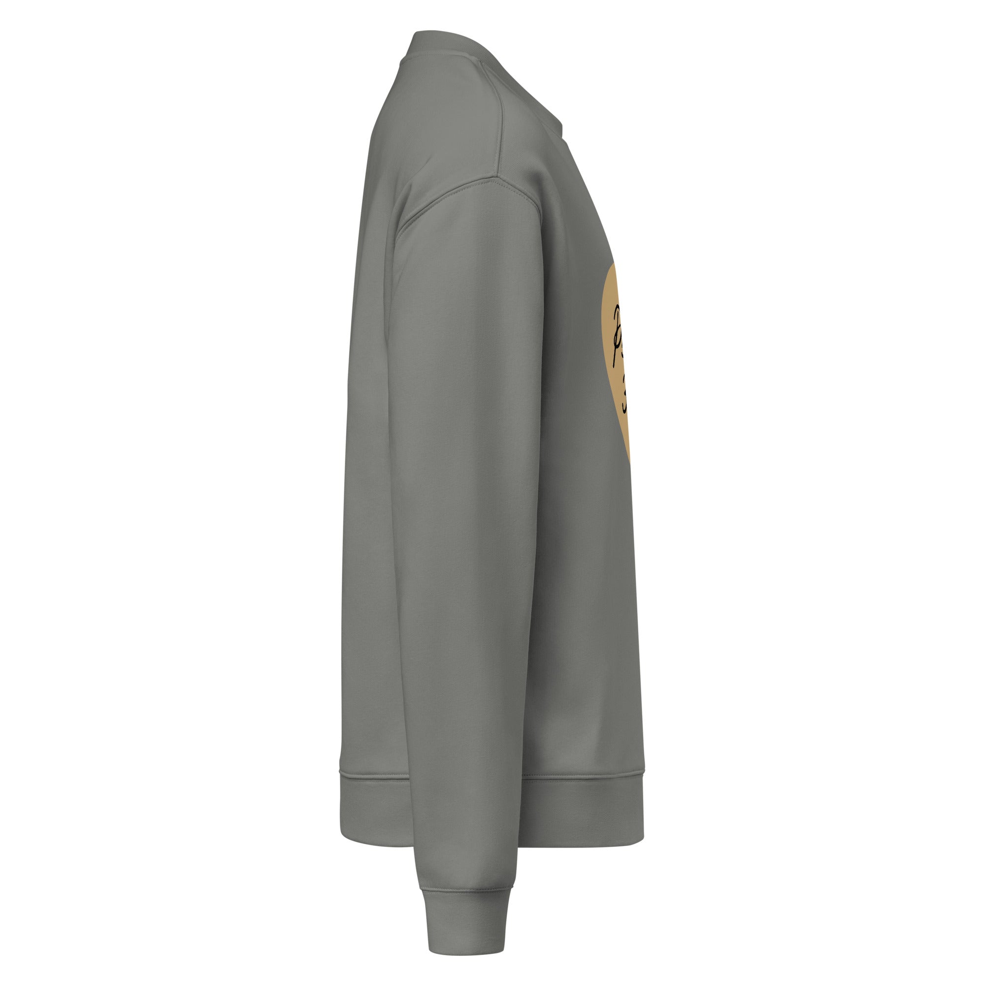 Men Crew Neck Sweatshirt with Front Text Print Long Sleeve